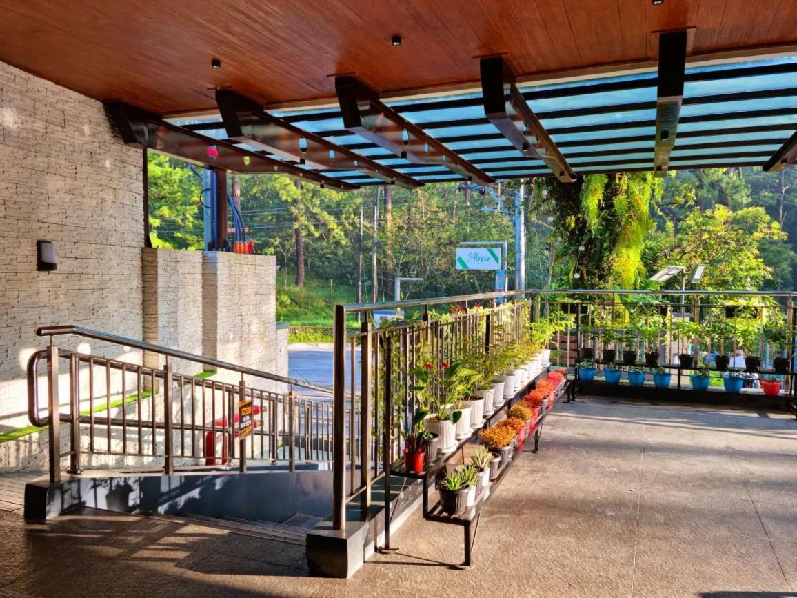 Alvea Hotel And Residences باغيو المظهر الخارجي الصورة